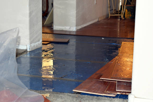 Professional Sewage Cleanup technician working in Elwell, MI
